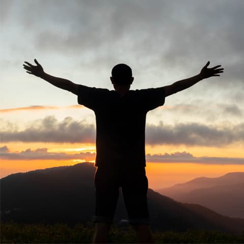 Vision 480 x 480