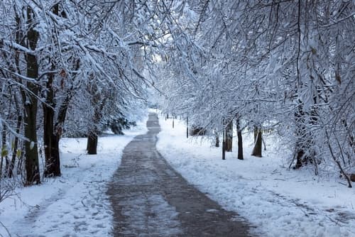 preparing your AED for cold weather cold weather affects heart health