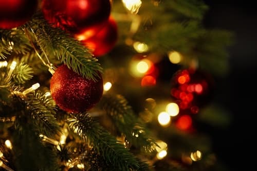 Close-up,Of,Christmas,Tree,With,Red,Balls,And,Bokeh,In